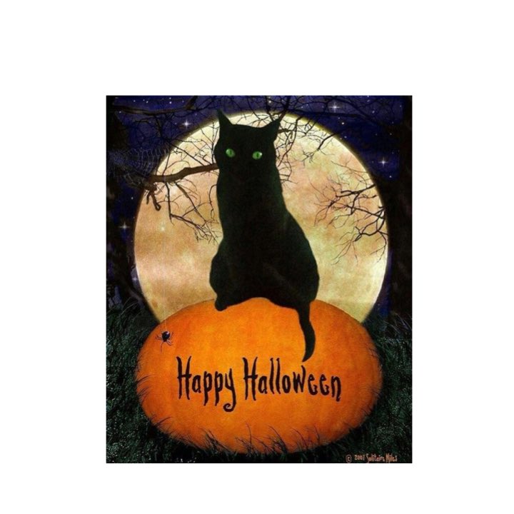 RealFamilyTime's tweet photo. Happy Halloween! From everyone @RealFamilyTime. #blackcat #boo https://t.co/P3qQn4io1U