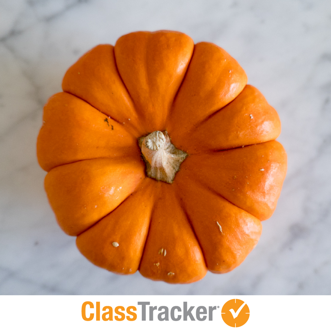 myclasstracker's tweet photo. Here's a "Trick" to being organized! #happyhalloween #classtracker #collegesuccess #bestplanner https://t.co/XMMIZGoK47 https://t.co/MbrC9Tkwfh