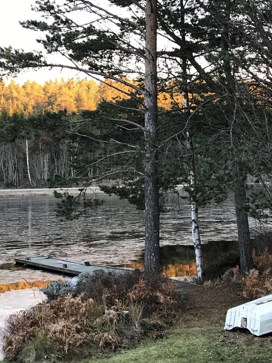 Mi Abode tweet media