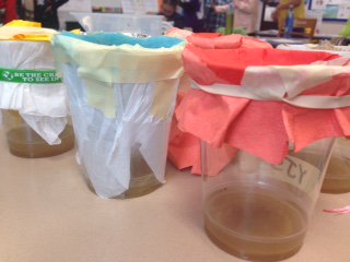 Ms. Boyd tweet media