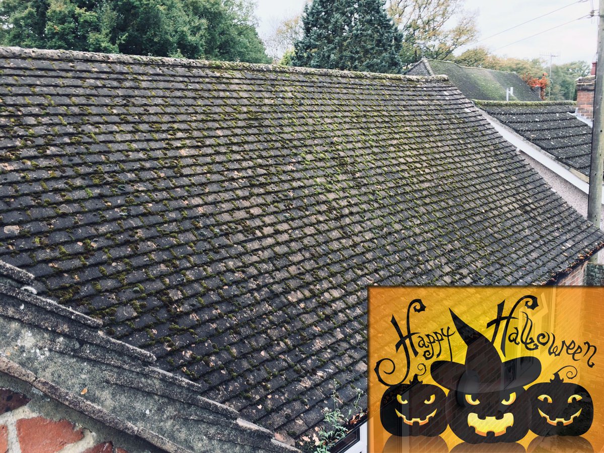Happy Halloween. We're de-mossing this roof in Edenbridge today ready for our biocide treatment. We ain't afraid of no moss! 🎃👻