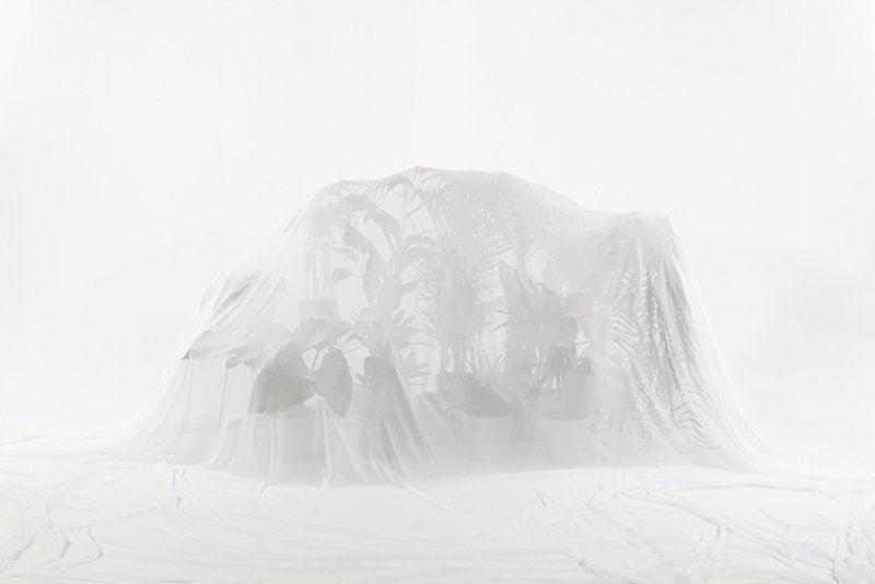 pinta_art's tweet photo. #CountriesProject Work by Katherine Fiedler. Resistencia II, 2015. Galeria Denise Dourojeanni #PintaMiami #MiamiArtweek #art https://t.co/ZBIAWOlUPs