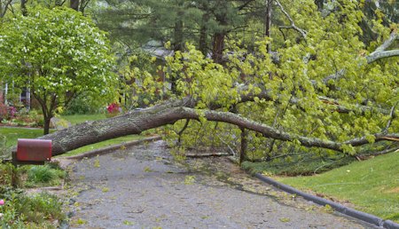 cloudfloordns's tweet photo. Secondary DNS is the standby generator of your online business - Don't let a DNS outage take you down! #dns 

https://t.co/vhZES0LtW3 https://t.co/4oxiNsLkAo