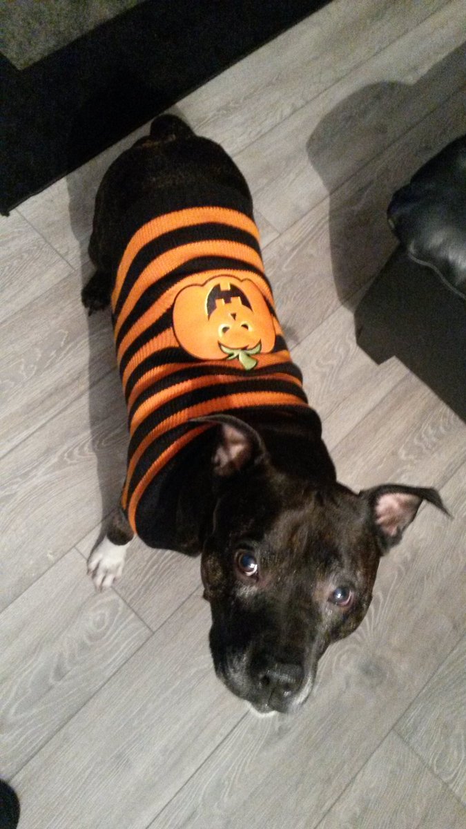 kay1982uk's tweet photo. Happy Halloween. #DressUpAtWork @MGH_8 @LelandOrser @JTripplehorn @YolandaMcClary @svuceline @reba @IAmHarryFord @IamLuisGuzman @Mariska https://t.co/LqzZ07LLoR