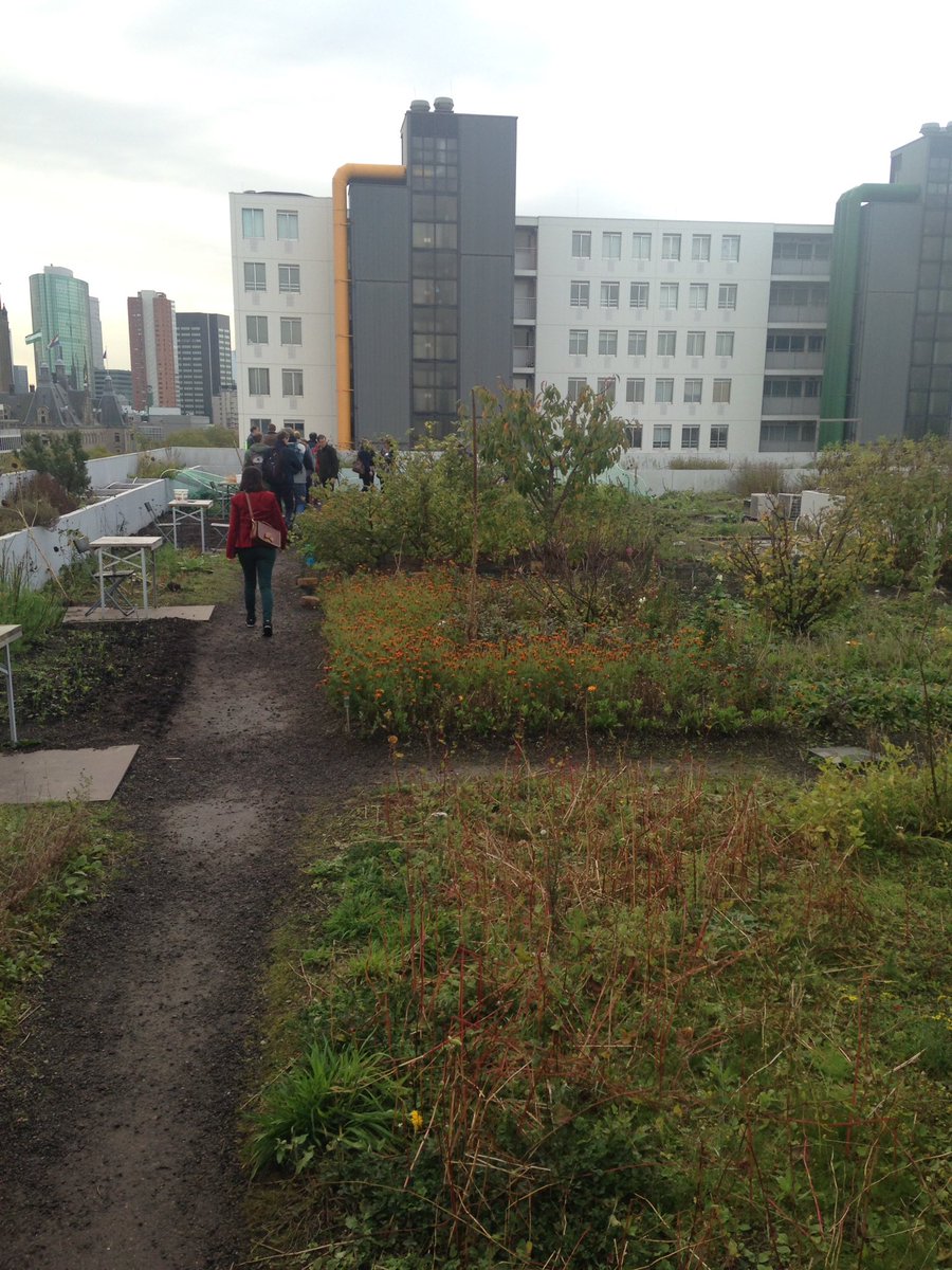 biomimicrynl's tweet photo. Geslaagde #biomimicry tour in Rotterdam/Delft. Met Bio Inspired Design expo TUDelft, oorbellen gemaakt van rioolwater, dakakkers rn meer... https://t.co/i54UaOli7n