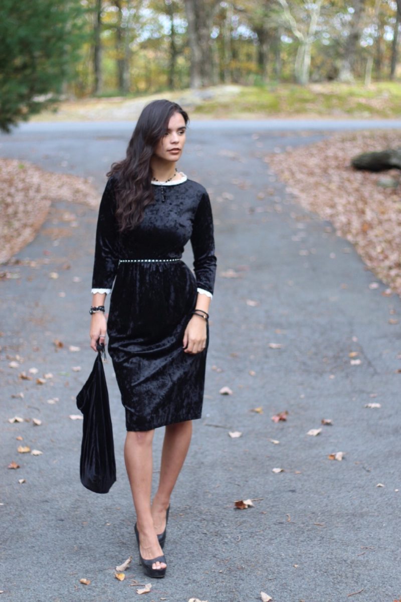 LazyCaturday's tweet photo. Fall days call for velvet.
#fall #velvettrend https://t.co/Q1CrxYNe2p