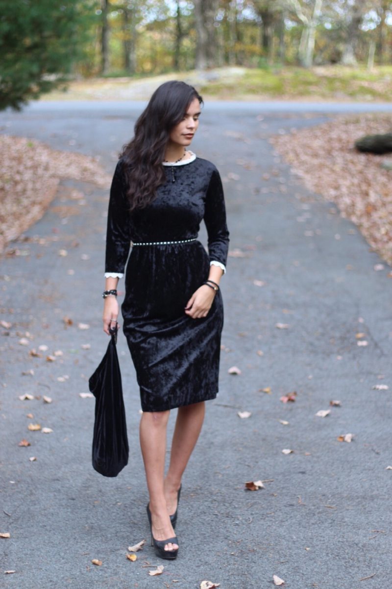 LazyCaturday's tweet photo. Fall days call for velvet.
#fall #velvettrend https://t.co/Q1CrxYNe2p