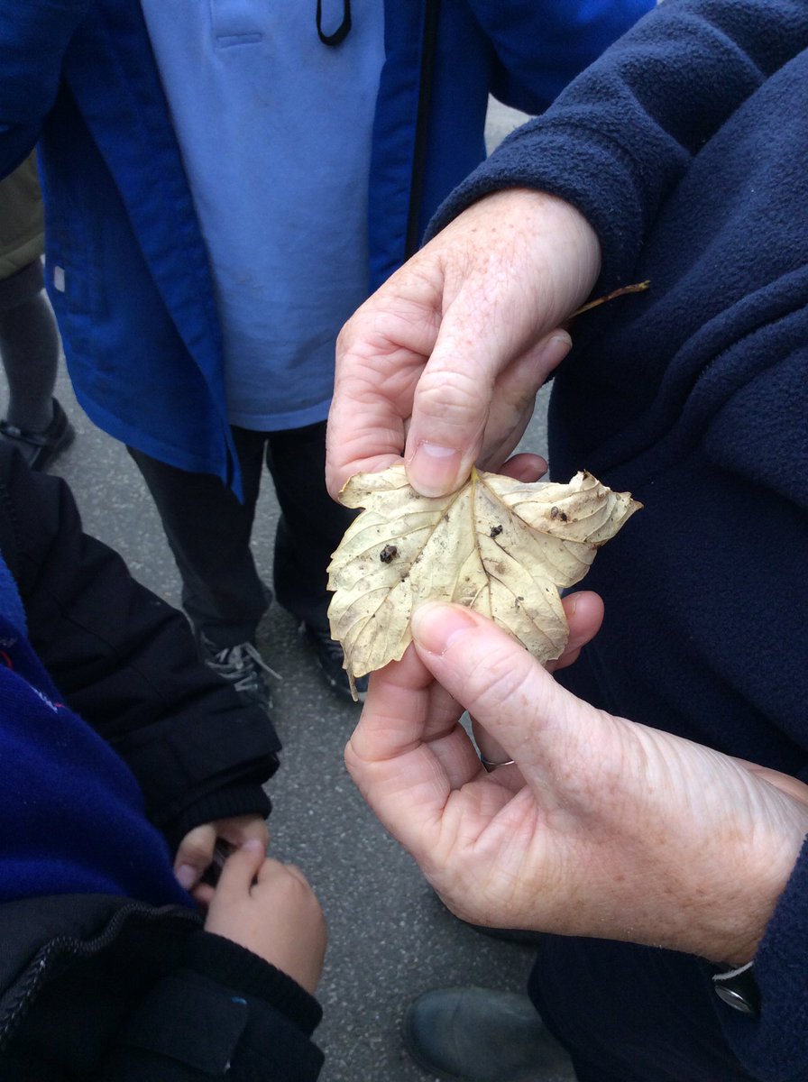 2021whitkirk's tweet image. Today Dolphins had a special visit for the RSPB. We loved hunting for wildlife in our school grounds. #RSPB_Learning