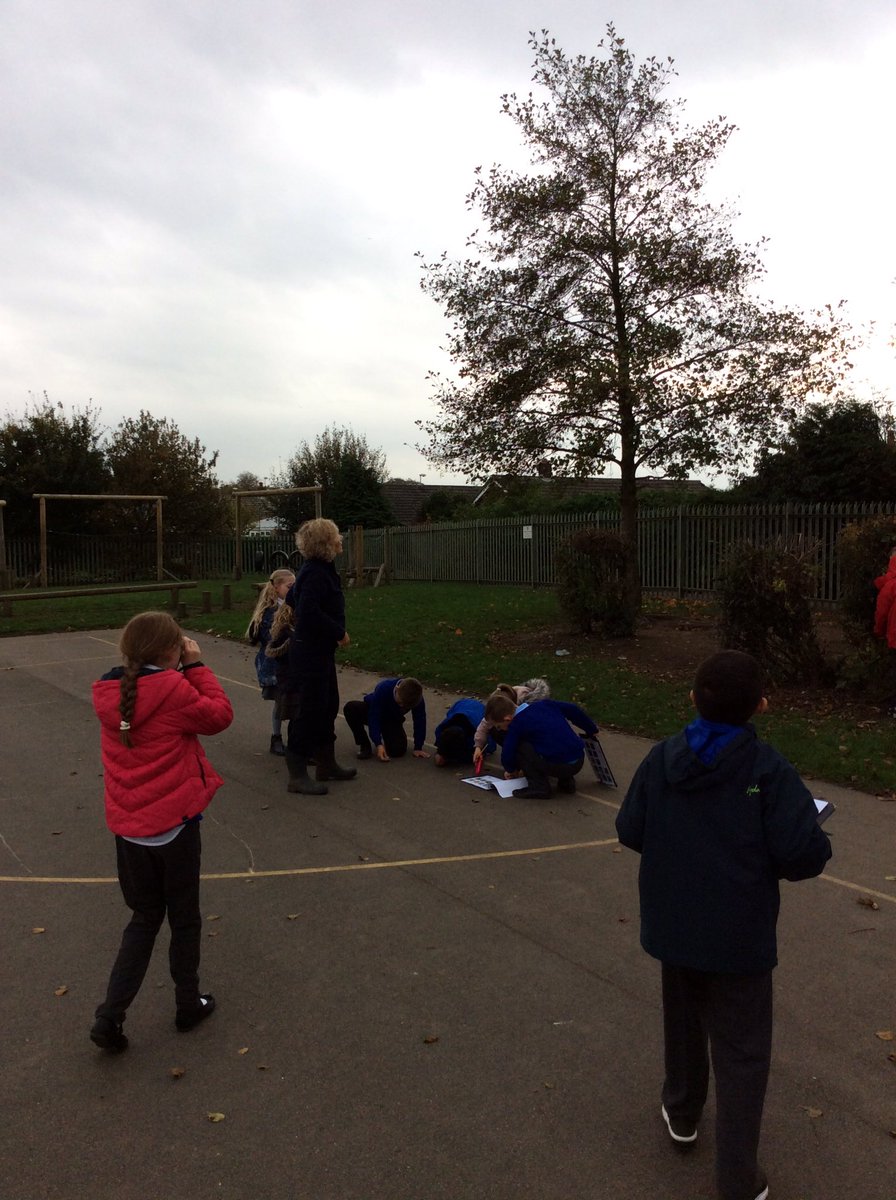 2021whitkirk's tweet image. Today Dolphins had a special visit for the RSPB. We loved hunting for wildlife in our school grounds. #RSPB_Learning