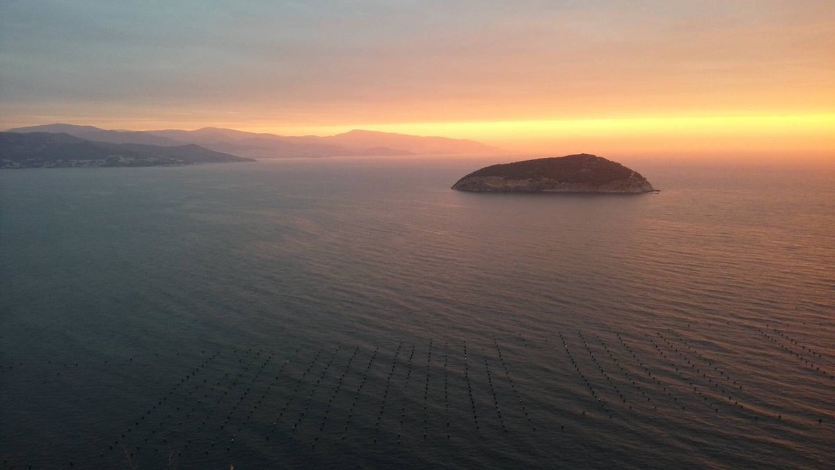 BATALOGIANNIS (@batalogiannis) on Twitter photo 