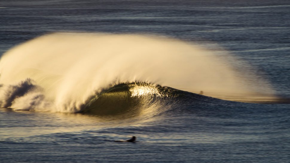 SURFER tweet media