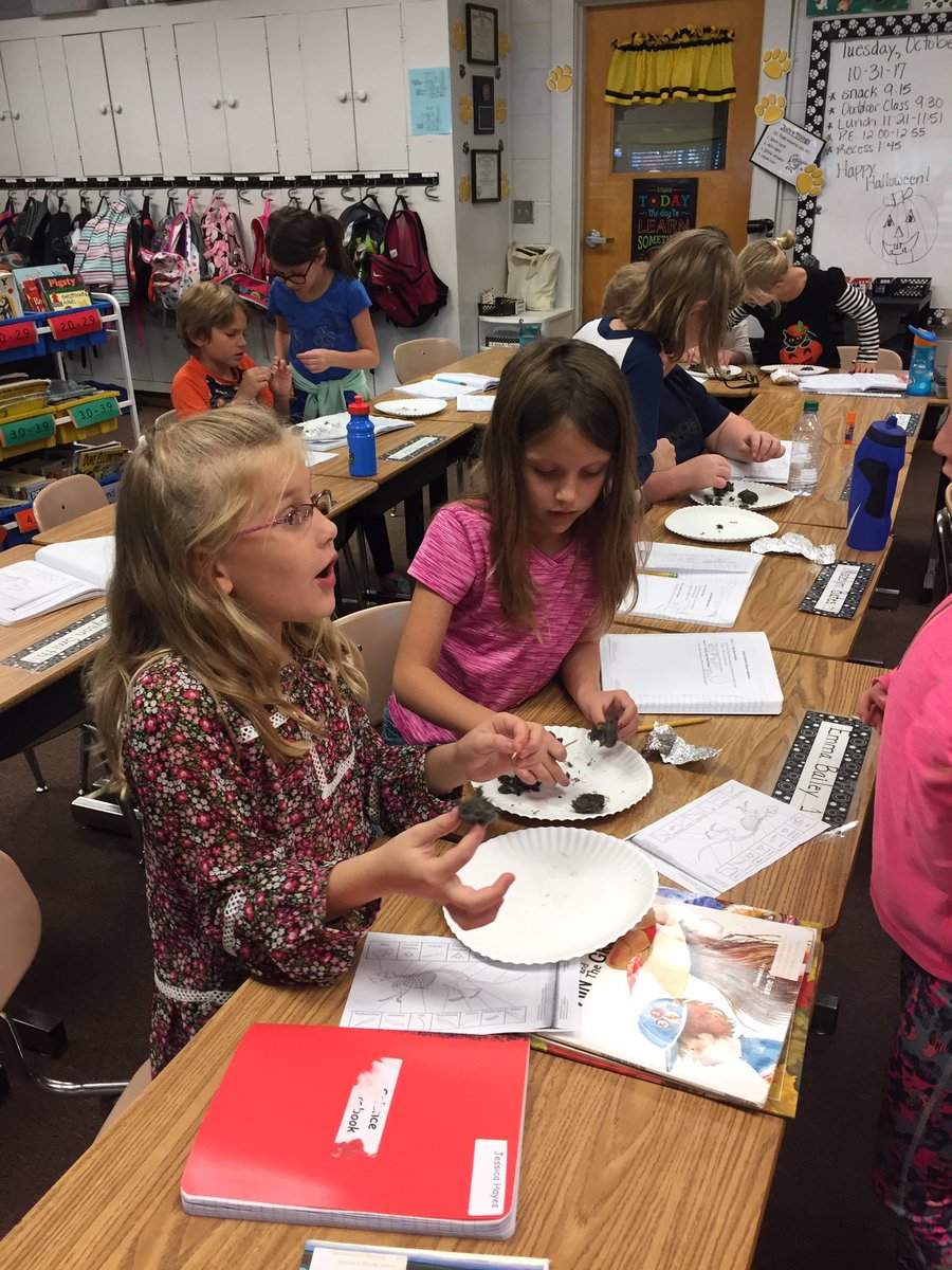 Having some Halloween fun investigating what's inside an owl pellet! #weststory