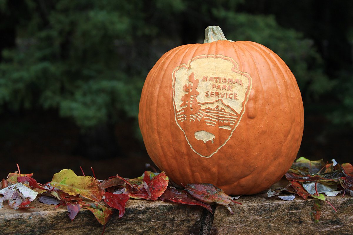 Happy Halloween! 🎃

NPS Photo / David Restivo