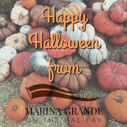 Happy Halloween from our family to yours! #LiveInParadise #MarinaGrandeontheHalifax