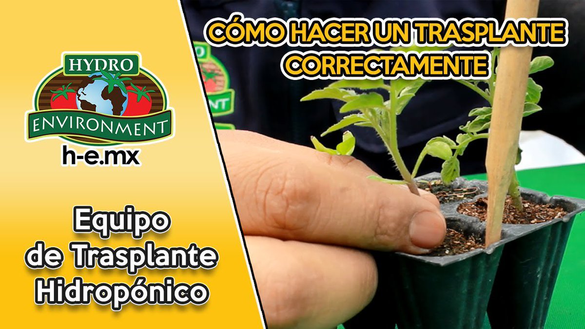 PromueveHidro's tweet photo. #VideoCompartido
Cómo hacer un trasplante
Conoce más aquí: https://t.co/27dtQKE7O3 https://t.co/VK6o9u5K9T