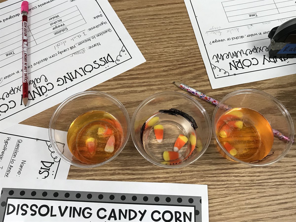 Renee Nelson tweet media