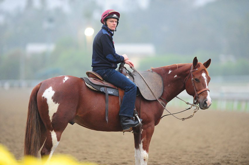 Image result for aidan o'brien at breeders cup