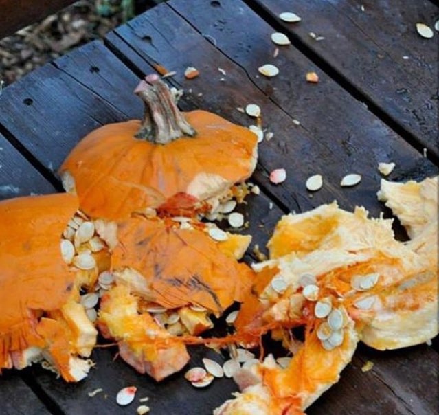 offmms's tweet image. 