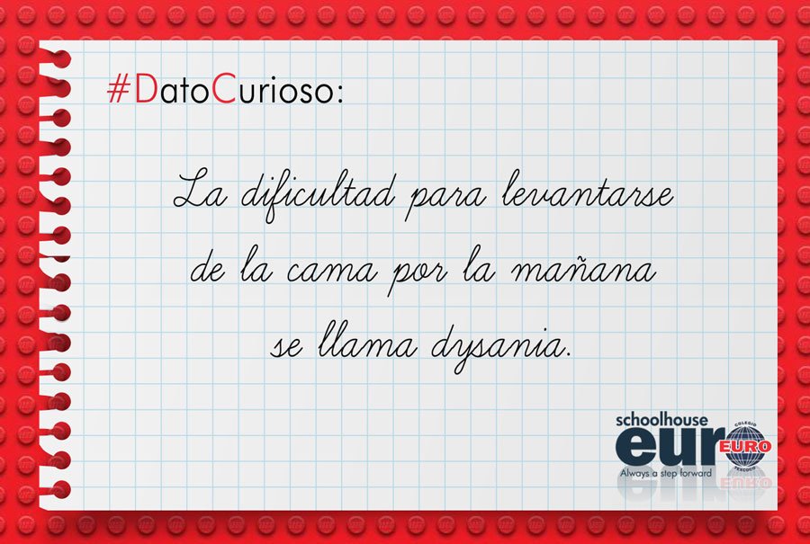 Cuando el cuerpo no está preparado para estar alerta y el cerebro está listo para comenzar el día... ¡ahí la confusión! #ColegioEuro