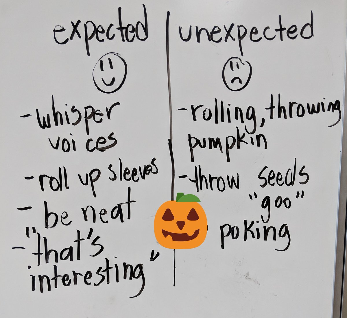 MrsBrar_'s tweet photo. What are some expected and unexpected behaviours during our pumpkin exploration? #zonesofregulation #sd36learn #latimerlearns https://t.co/sTp5CFUe82