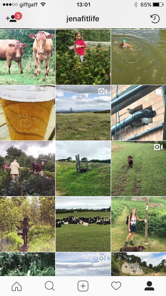 Are we Instagram friends? Follow me here buff.ly/2lymdJu #countrylife #cows #dogs #waliking #afitlife @BlogRetweet1