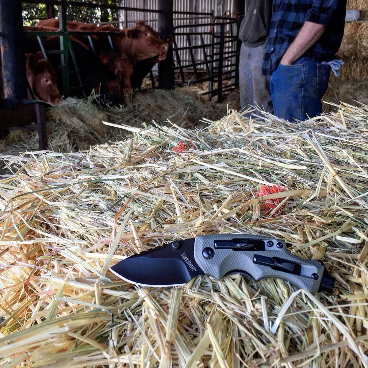 kershawknives's tweet photo. With the #ShuffleDIY work can keep "moooving" along.

https://t.co/5LKfyGK71s

#whatareyoucarrying #farmlife #agriculture #cattle #cows #edc https://t.co/8VBxo3idm8