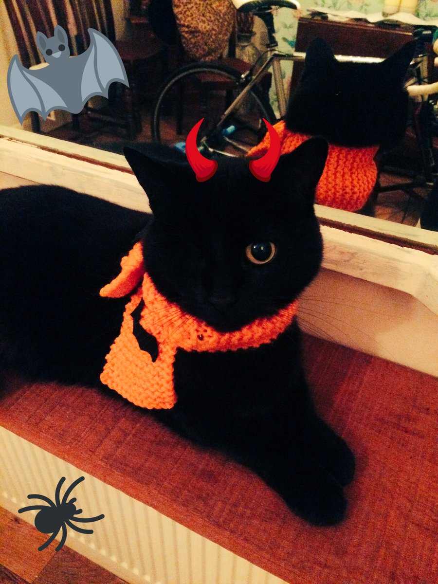 divacatDior's tweet photo. @frisky9 @TreasuryMog Here is my entry. Put my best pout on for you 😽#prettydevil https://t.co/D41tSsTzZ6