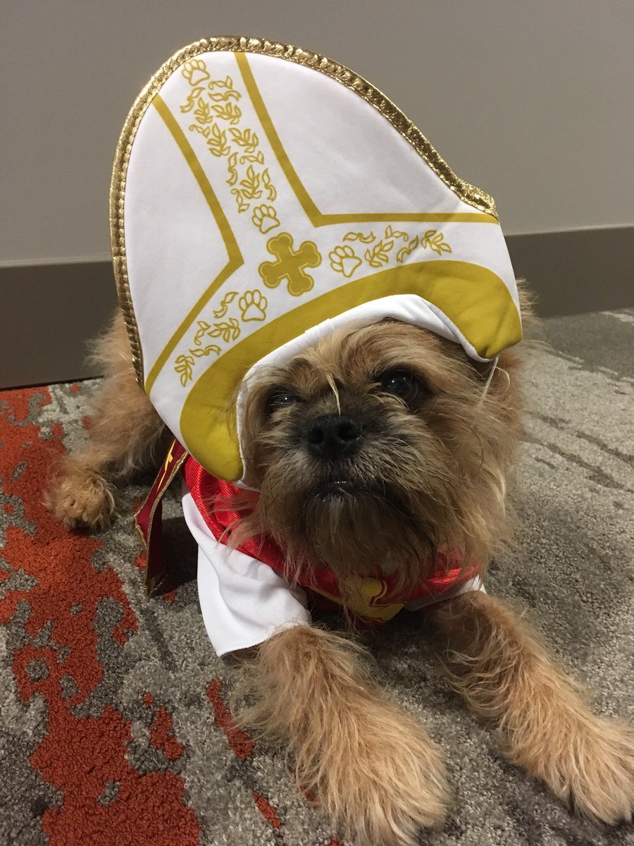 Max_B_Griffon's tweet photo. @Pontifex Happy Halloween to Pope Francis https://t.co/RsjMNxxluA