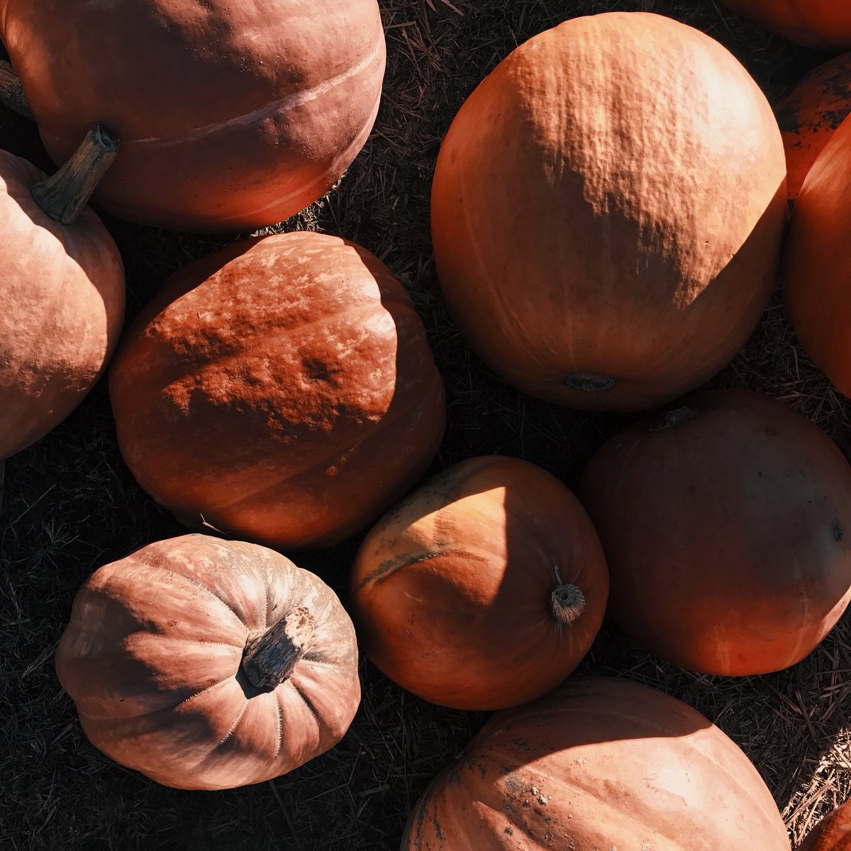 What’re you going to be for Halloween 👻