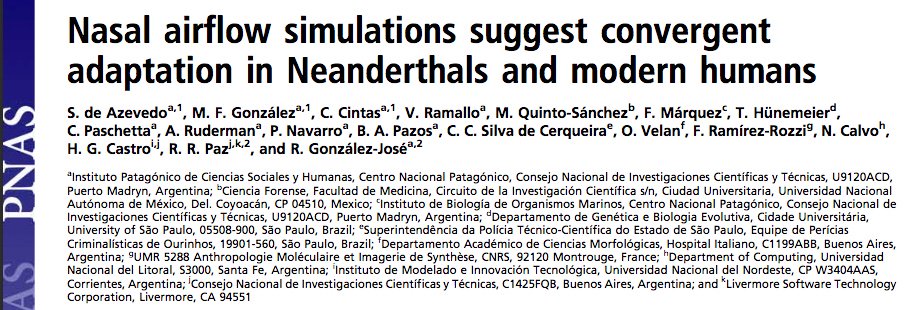Neardenthales y Humanos: adaptación convergente del flujo respiratorio.
wordpress.com/post/laofunam.…