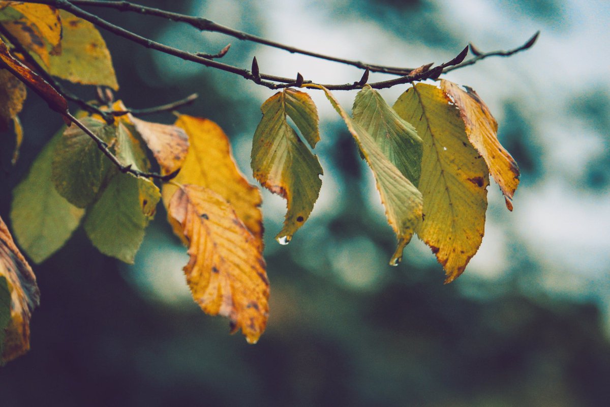 We are approaching November, are you preparing your winter jackets?! Stop by our show home to do some house hunting before it gets too cold
