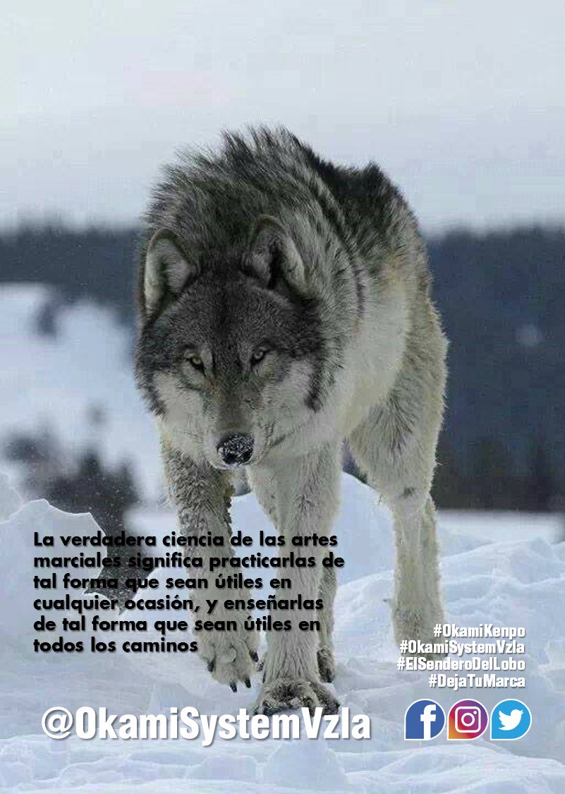 OkamiSystemVzla's tweet photo. No te pierdas ningún detalle en las redes. @OkamiSystemVzla #OkamiKenpo #OkamiSystemVzla #ElSenderoDelLobo #DejaTuMarca https://t.co/I62CYkIvBi