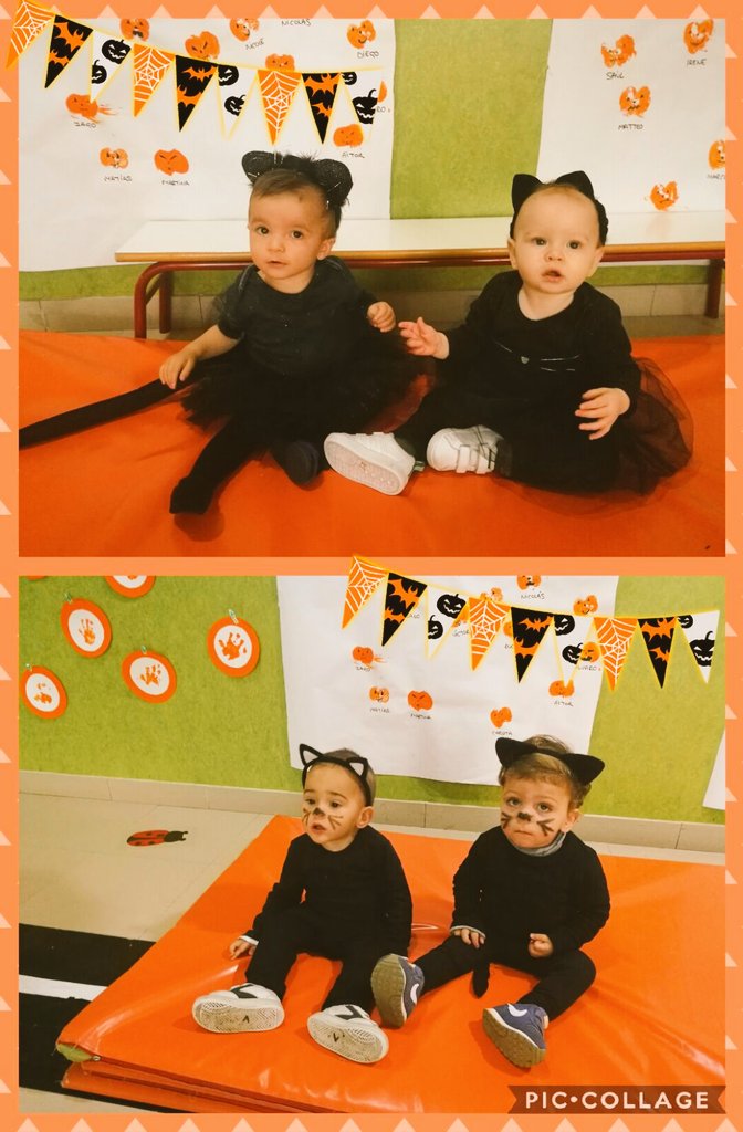 ColegioGaudem's tweet photo. Los más peques del cole también se han divertido hoy celebrando  #HalloweenGaudem ¡Vaya gatitos y gatitas tan adorables😻! https://t.co/wTqTIGNA5A