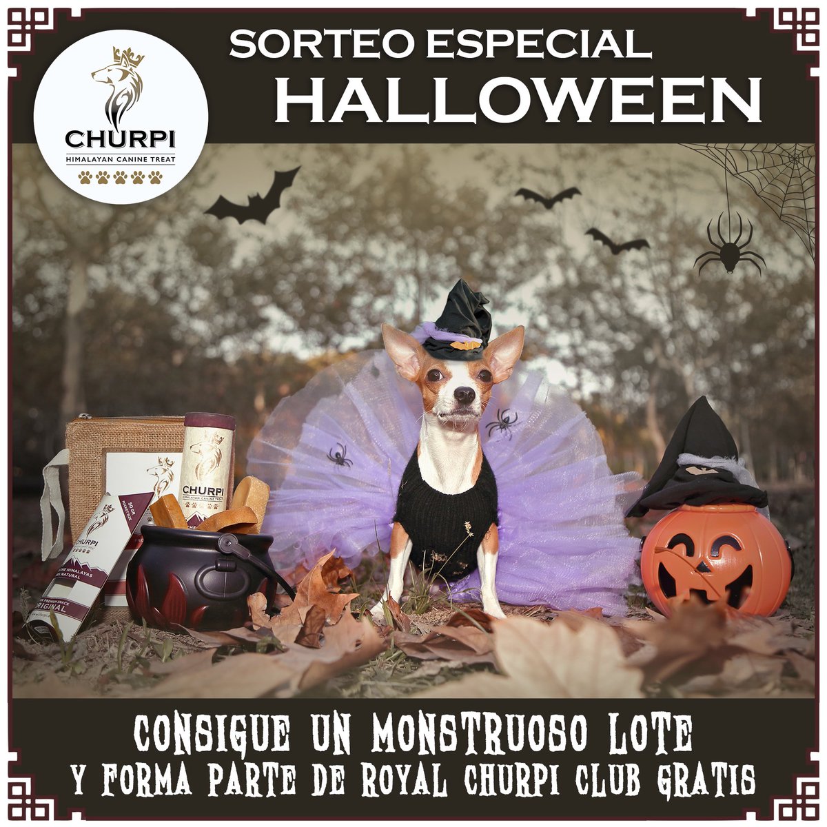 ChurpiDog's tweet photo. #Sorteo especial 🎃 Halloween 
#Instagram https://t.co/pmgKeMLu3O