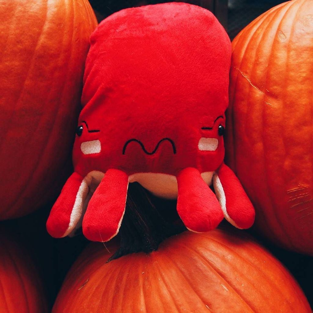 Just trying to fit in 🎃 Happy Halloween! ift.tt/2z1AH7M