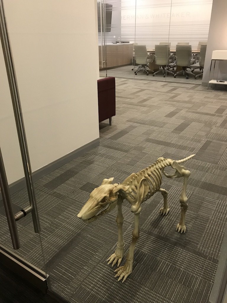 Herman & Whiteaker tweet media