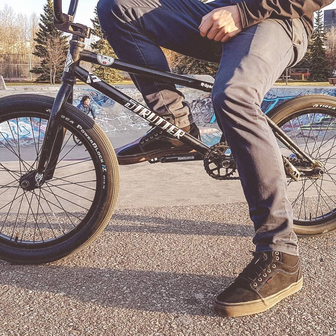 encorebikes's tweet photo. Darcy's Strutter 👌 @dpbmx https://t.co/kF3I9fXjSe