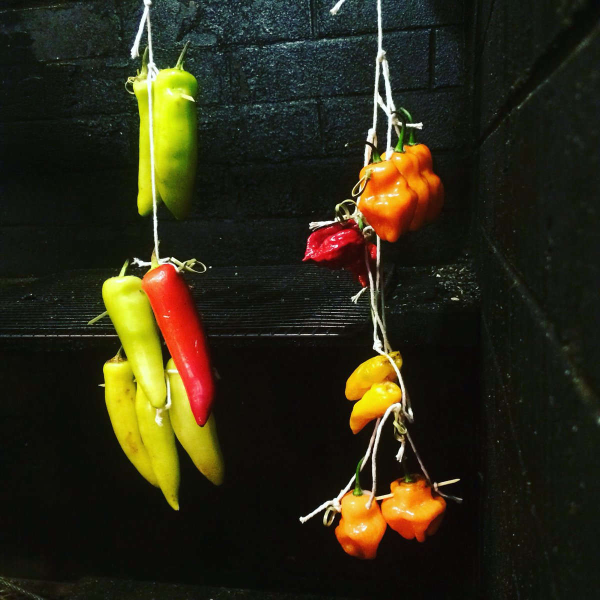 LolitaPortland's tweet image. Smoking hot peppers. They are smoking hot. And they are smoking over our fire. #woodfire #livefuel #funprojects