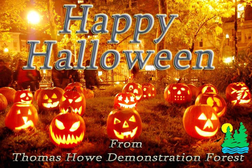 Thomas Howe Forest tweet media
