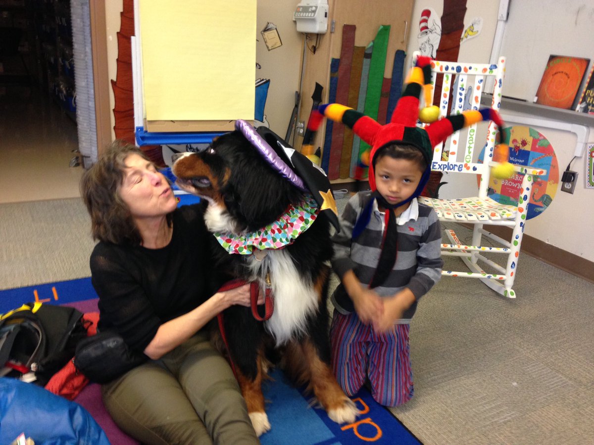 He's baaaack and just in time for Halloween stories! Our reading dog Zephyr even brought a crazy hat for his buddy to wear. #chccslibraries