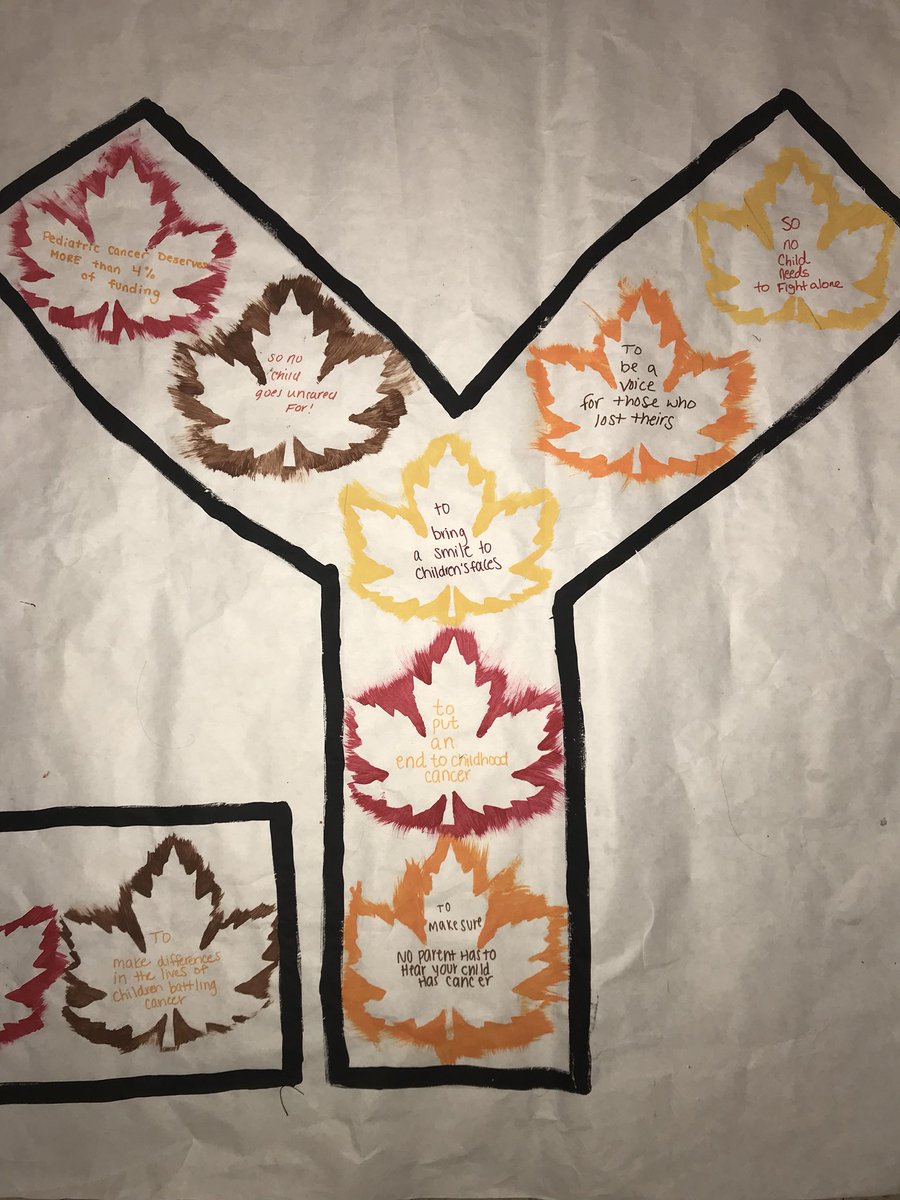msmcLYMcrew's tweet photo. Our crew is falling for LYM in many ways!! Each leaf was made by a member of our crew stating a reason why them fell for LYM #fallforlym https://t.co/qKJmAfx1Zi