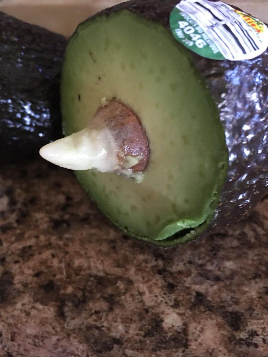 topacio's tweet photo. #aguacateconcondon 😂 #Halloween https://t.co/XTu5MhKZ5o