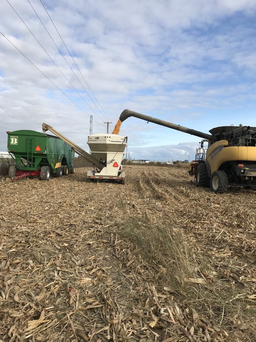 Nucleus HD trial weigh off today, resulted in a 5.7bu/ac gain #happyfarmer #harvest