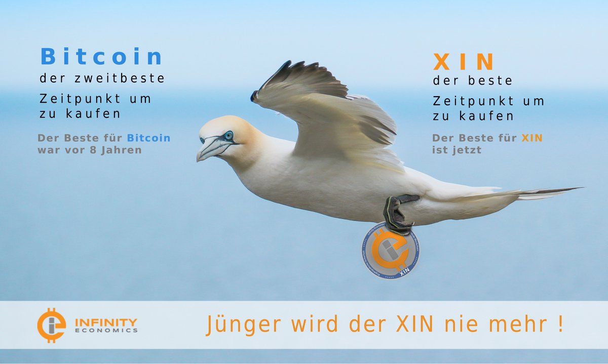 BlockchainAffin's tweet photo. Den XIN gibt es noch zum Startpreis https://t.co/y2Iui1agO4