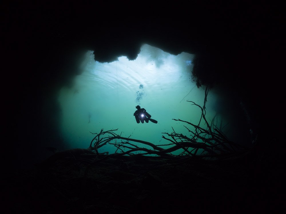 zeaglesystems's tweet photo. Happy #Halloween! Comment below and tell us about your spookiest scuba dive ever!
#ZeagleSystems
Photo: William Drumm https://t.co/vMWqpGi5PV