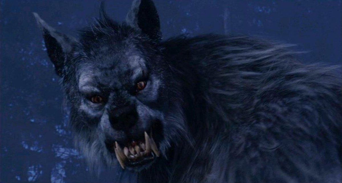 lance_wallick's tweet photo. #HappyHalloween Surfers and werewolves? Check out WOLF POINT ! https://t.co/EcIc4rNW2f #werewolf #surfer https://t.co/pwixi5cig8