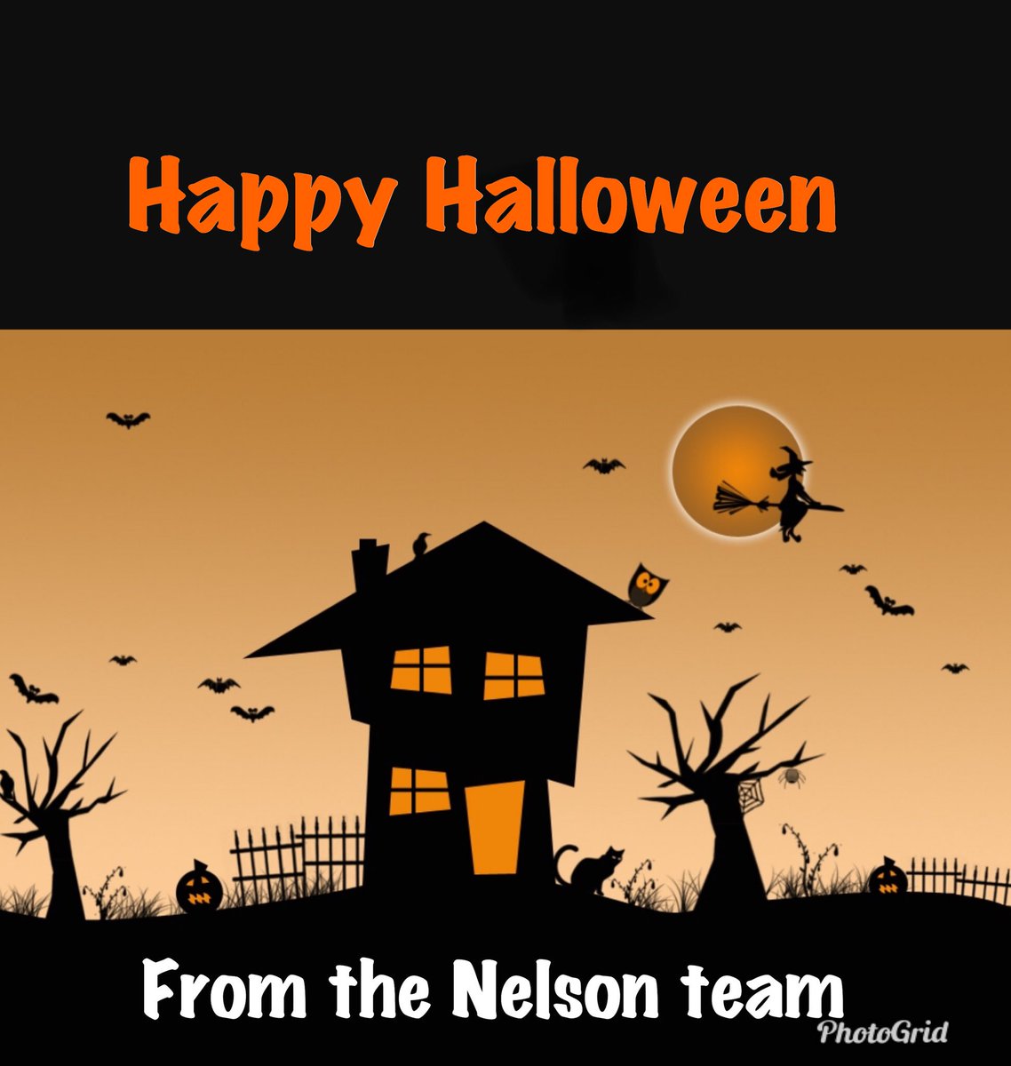 theBrave_Nelson's tweet photo. It’s no trick 🎃🎃🎃 https://t.co/19wQ4cG3w5
