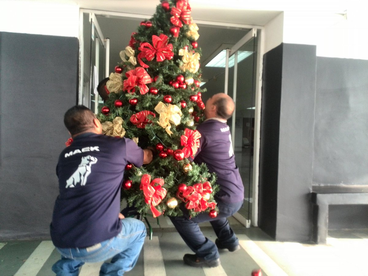 MackZulia's tweet photo. LOS GRINCH SE NOS LLEVAN LA NAVIDAD!!!
No cabe duda que la navidad nos llena de alegrías a todos!
#FamiliaMack #MackZulia #MackesMack https://t.co/m4qQVwVZzE