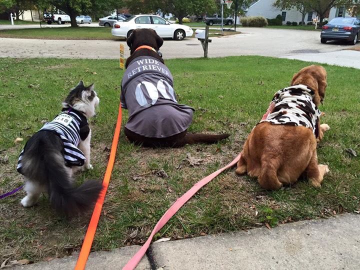 Happy Halloween