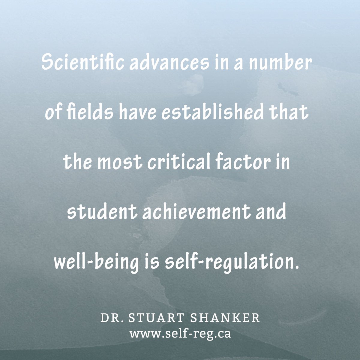 StuartShanker's tweet photo. #SelfReg is the foundation of healthy human development, adaptive coping skills, positive parenting and learning. https://t.co/pimcmo2eqK